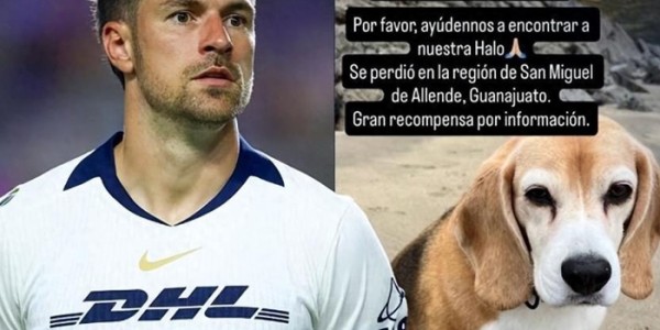 kaiyun网站-死神归隐！拉姆塞宣布正式退役，一段满是温情与悲情的传奇落幕|威尔士|足总杯|阿森纳|绝杀|美洲狮足球俱乐部_新浪体育_新浪新闻